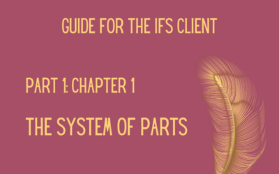 Guide for the IFS client – part 1 by Anna Vincentz