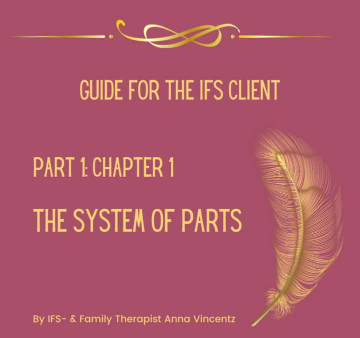 Guide for the IFS client – part 1 by Anna Vincentz