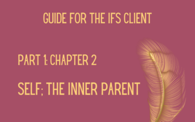 Guide for the IFS client – Part 2 by Anna Vincentz