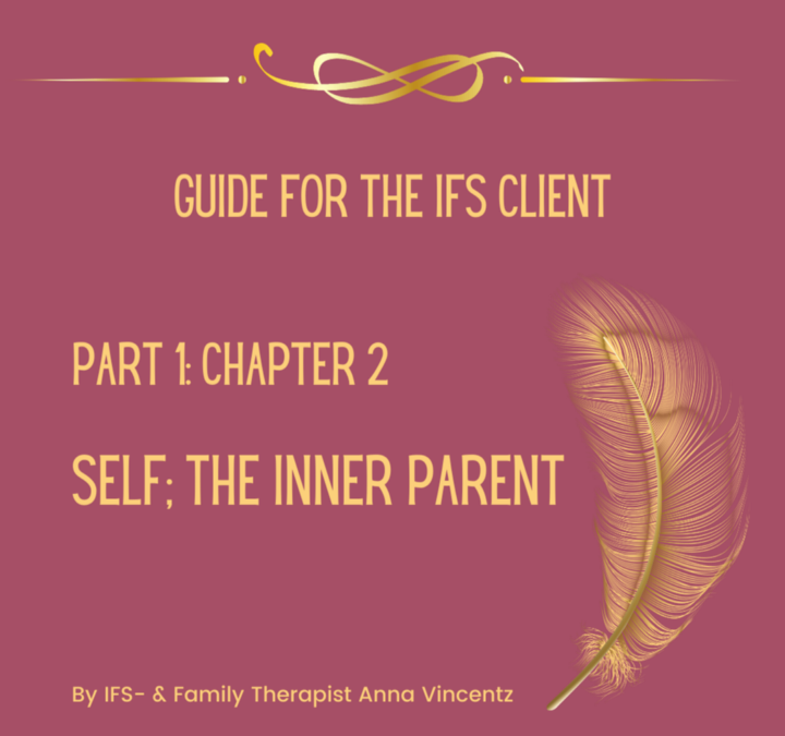 Guide for the IFS client – Part 2 by Anna Vincentz